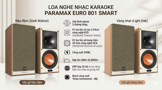 Loa nghe nhạc Karaoke Paramax EURO 801 Smart